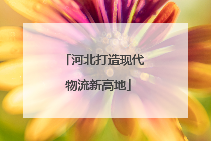 河北打造现代物流新高地