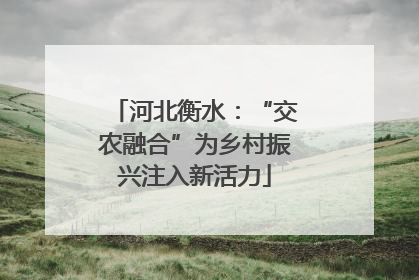 河北衡水：“交农融合”为乡村振兴注入新活力