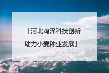 河北鸡泽科技创新助力小麦种业发展