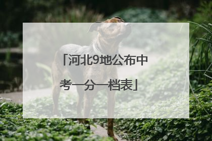 河北9地公布中考一分一档表