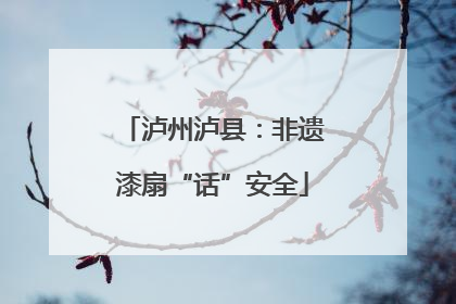 泸州泸县：非遗漆扇“话”安全