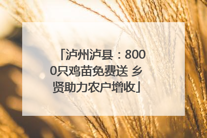 泸州泸县：8000只鸡苗免费送 乡贤助力农户增收