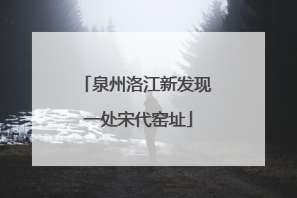 泉州洛江新发现一处宋代窑址