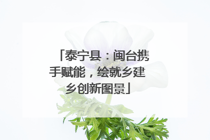 泰宁县：闽台携手赋能，绘就乡建乡创新图景