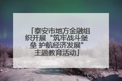 泰安市地方金融组织开展“筑牢战斗堡垒 护航经济发展”主题教育活动
