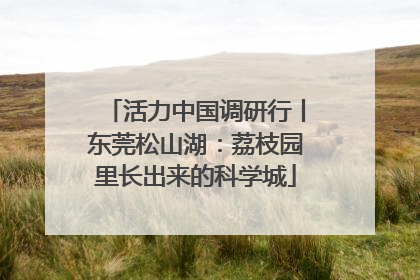 活力中国调研行丨东莞松山湖：荔枝园里长出来的科学城