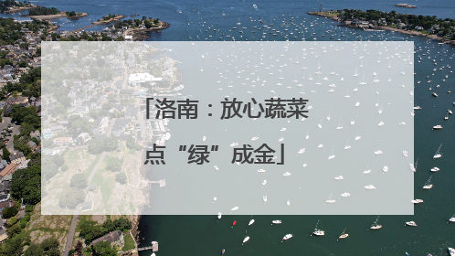 洛南：放心蔬菜点“绿”成金