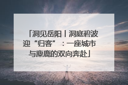 洞见岳阳丨洞庭碧波迎“归客”：一座城市与麋鹿的双向奔赴