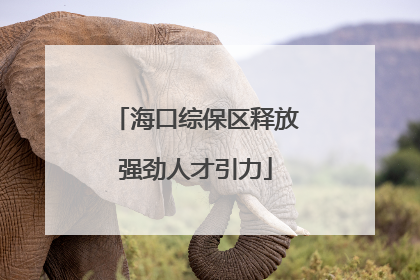 海口综保区释放强劲人才引力