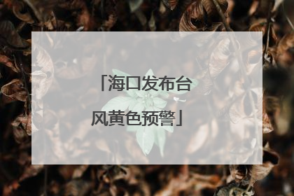 海口发布台风黄色预警