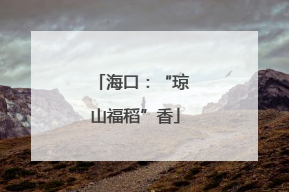 海口：“琼山福稻”香
