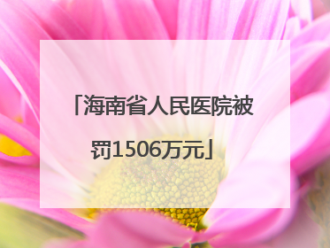 海南省人民医院被罚1506万元