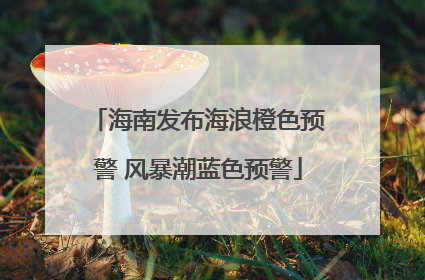 海南发布海浪橙色预警 风暴潮蓝色预警