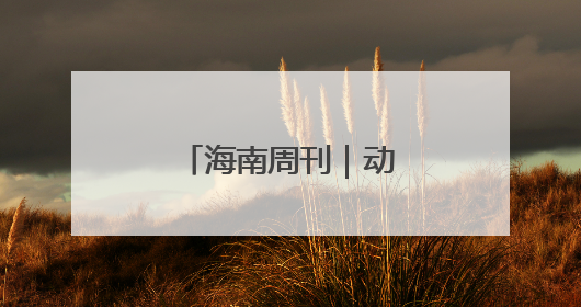 海南周刊｜动物“托儿所”里的双倍母爱