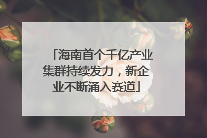 海南首个千亿产业集群持续发力，新企业不断涌入赛道