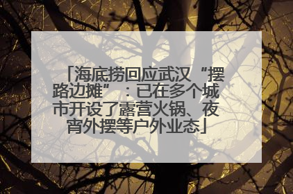 海底捞回应武汉“摆路边摊”：已在多个城市开设了露营火锅、夜宵外摆等户外业态