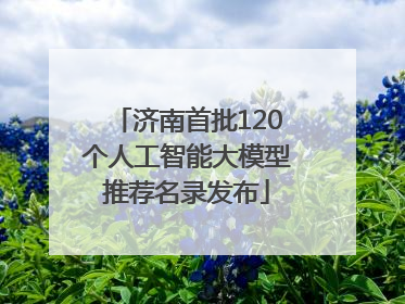 济南首批120个人工智能大模型推荐名录发布