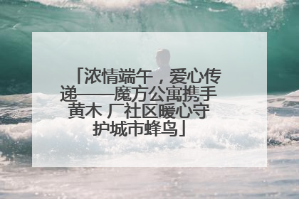 浓情端午，爱心传递——魔方公寓携手黄木 厂社区暖心守护城市蜂鸟