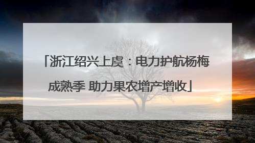 浙江绍兴上虞：电力护航杨梅成熟季 助力果农增产增收