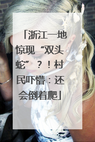 浙江一地惊现“双头蛇”？！村民吓懵：还会倒着爬