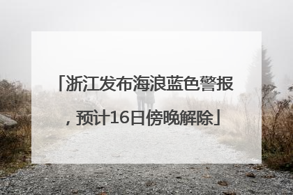 浙江发布海浪蓝色警报，预计16日傍晚解除