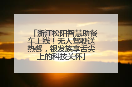 浙江松阳智慧助餐车上线！无人驾驶送热餐，银发族享舌尖上的科技关怀