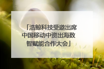 浩鲸科技受邀出席中国移动中资出海数智赋能合作大会