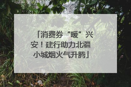 消费券“暖”兴安！建行助力北疆小城烟火气升腾