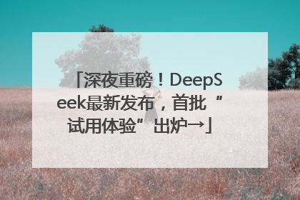 深夜重磅！DeepSeek最新发布，首批“试用体验”出炉→