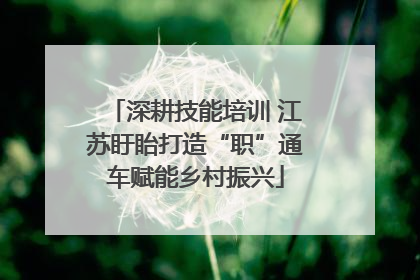 深耕技能培训 江苏盱眙打造“职”通车赋能乡村振兴