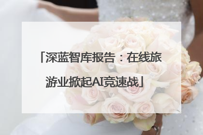 深蓝智库报告：在线旅游业掀起AI竞速战