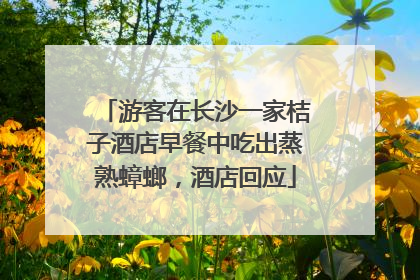 游客在长沙一家桔子酒店早餐中吃出蒸熟蟑螂，酒店回应