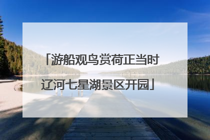 游船观鸟赏荷正当时 辽河七星湖景区开园