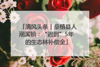 清风头条｜桑植县人潮溪镇：“迟到”5年的生态林补偿金