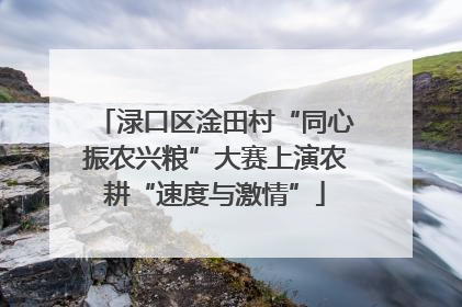 渌口区淦田村“同心振农兴粮”大赛上演农耕“速度与激情”