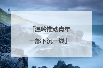 温岭推动青年干部下沉一线