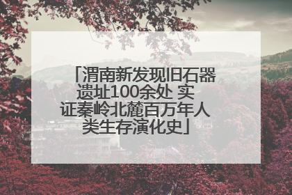渭南新发现旧石器遗址100余处 实证秦岭北麓百万年人类生存演化史