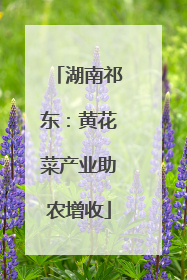 湖南祁东：黄花菜产业助农增收