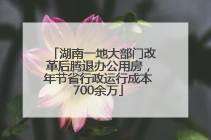 湖南一地大部门改革后腾退办公用房，年节省行政运行成本700余万
