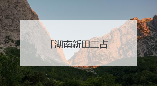 湖南新田三占塘村金银花产业兴旺促振兴