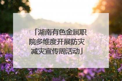 湖南有色金属职院多维度开展防灾减灾宣传周活动