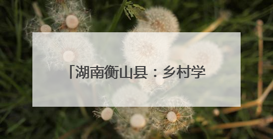 湖南衡山县：乡村学校有群皮影“小戏骨” 说念打唱像模像样