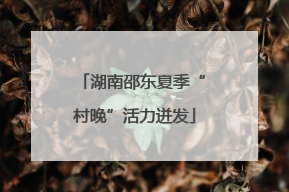 湖南邵东夏季“村晚”活力迸发