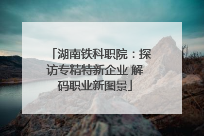 湖南铁科职院：探访专精特新企业 解码职业新图景