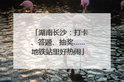 湖南长沙：打卡、答题、抽奖……地铁站里好热闹