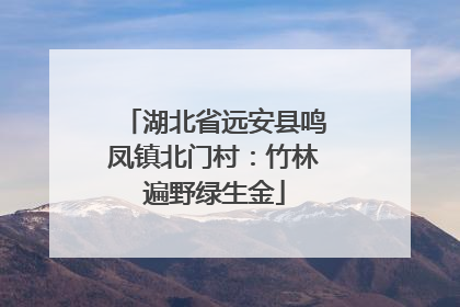 湖北省远安县鸣凤镇北门村：竹林遍野绿生金