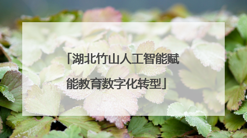 湖北竹山人工智能赋能教育数字化转型