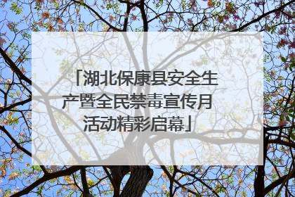 湖北保康县安全生产暨全民禁毒宣传月活动精彩启幕