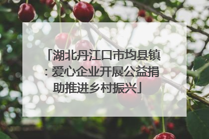 湖北丹江口市均县镇：爱心企业开展公益捐助推进乡村振兴