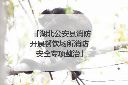 湖北公安县消防开展餐饮场所消防安全专项整治